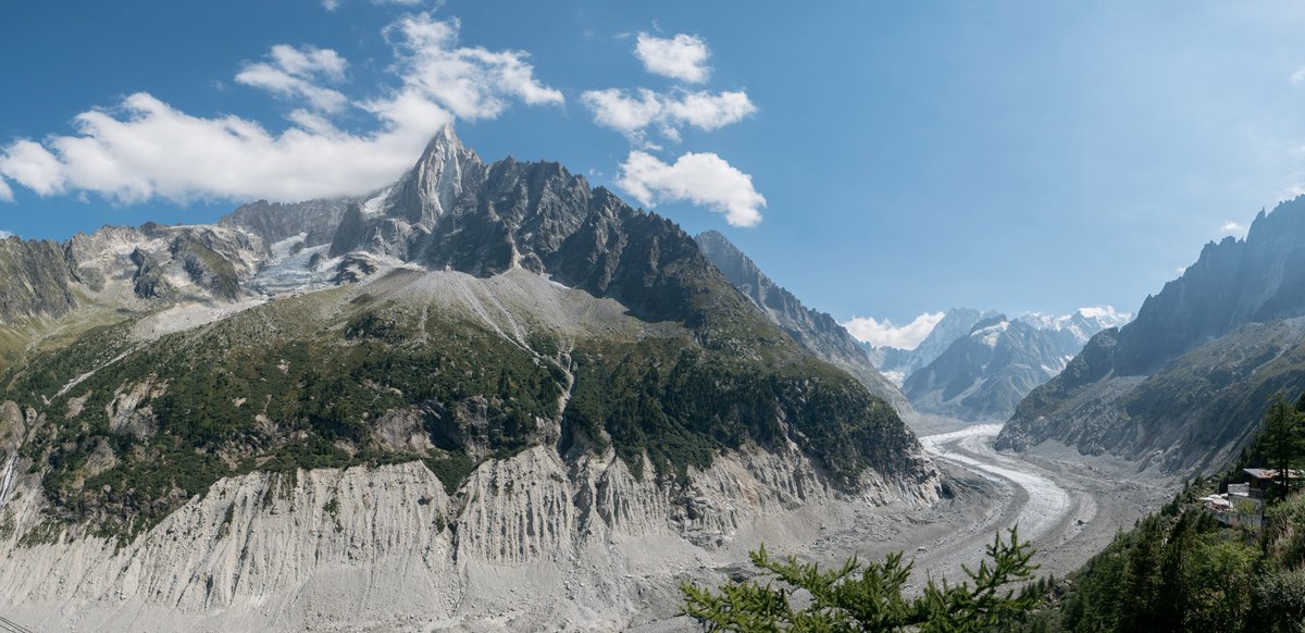 Noah Bradley tweet media