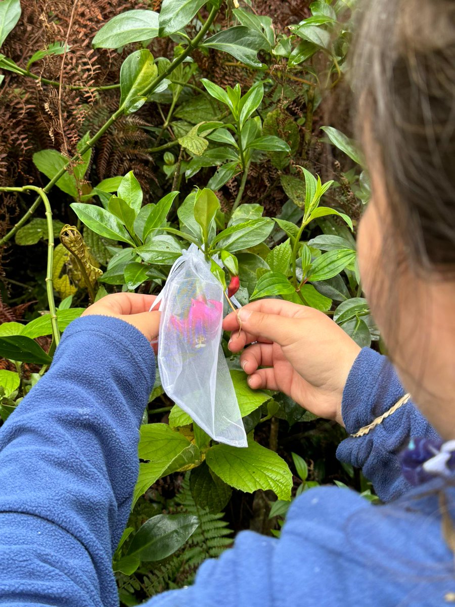 Belen Alvestegui tweet media