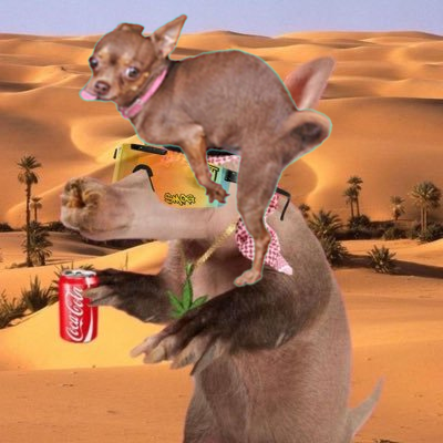 HUMPY tweet media