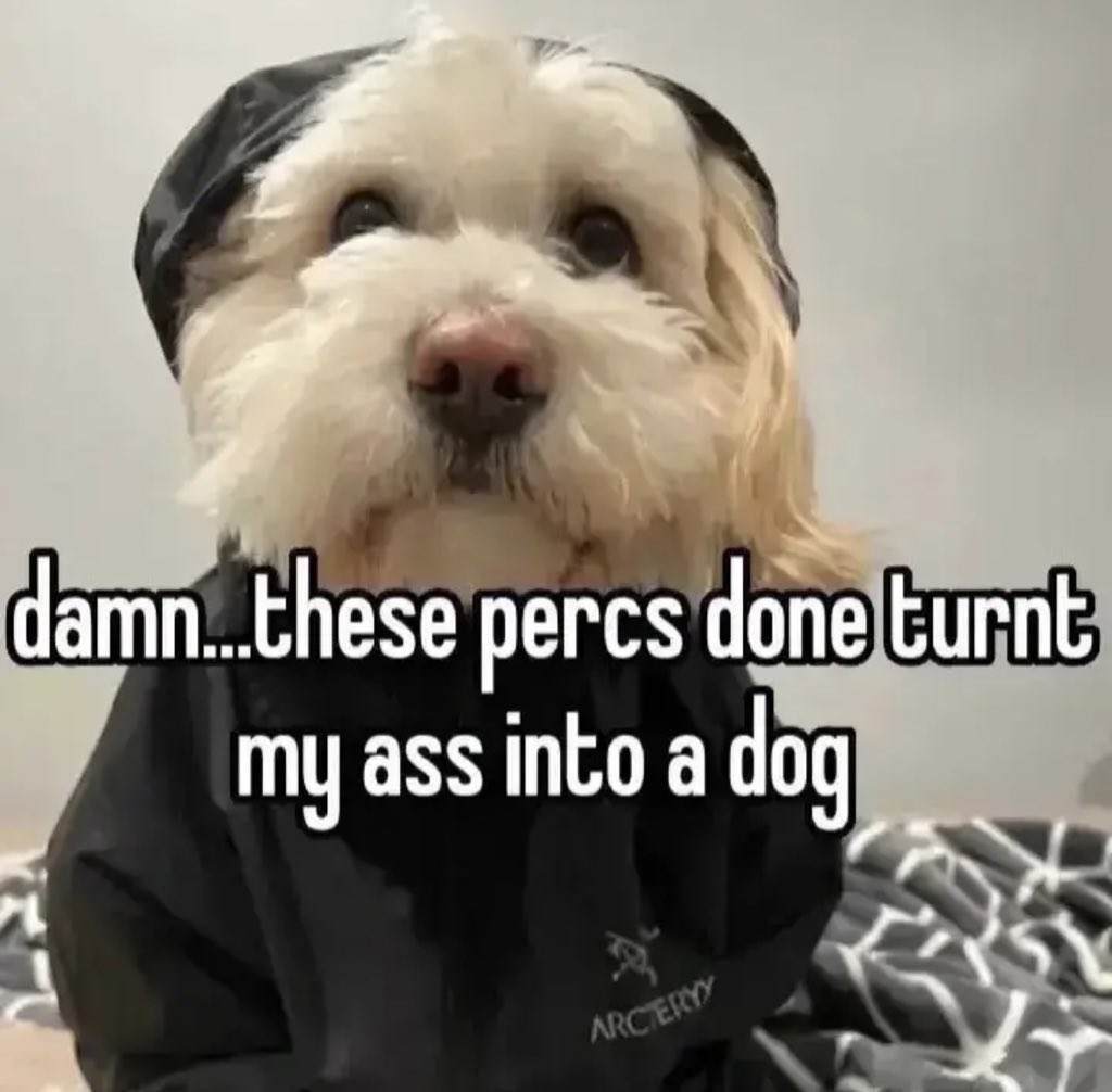 wlthdrawls's tweet image. 