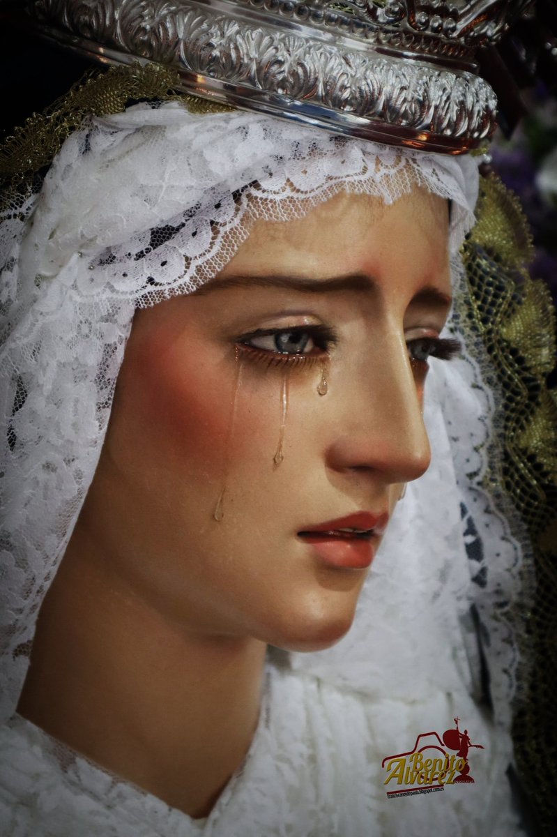 amor_bondad's tweet photo. ...en 106 días...

SOLEMNE ROSARIO MATUTINO MARÍA, REINA Y MADRE DE LOS APÓSTOLES  

#AmorYBondadSevillaEste
#RosarioMariaReinaYMadreDeLosApostoles https://t.co/i9NSOQIVVy