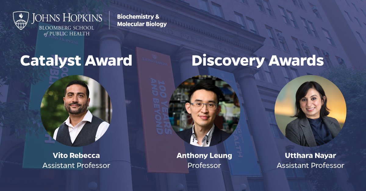 Johns Hopkins BMB (@johnshopkinsbmb) on Twitter photo Congratulations to our faculty on their 2024 @JohnsHopkinsCatalyst and Discovery awards! <a href="/VitoRebecca1/">Vito Rebecca</a> received a Catalyst Award, for excellence by early career faculty. And <a href="/LeungLab/">Anthony Leung</a> and <a href="/Nayar_Lab/">Nayar Lab @JHU</a> are both part of interdisciplinary teams receiving Discovery Awards. Congratulations to our faculty on their 2024 @JohnsHopkinsCatalyst and Discovery awards! <a href="/VitoRebecca1/">Vito Rebecca</a> received a Catalyst Award, for excellence by early career faculty. And <a href="/LeungLab/">Anthony Leung</a> and <a href="/Nayar_Lab/">Nayar Lab @JHU</a> are both part of interdisciplinary teams receiving Discovery Awards.