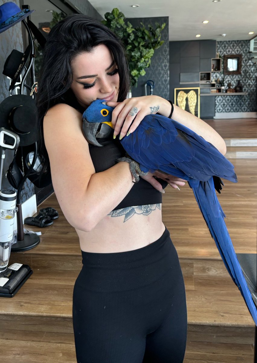SARAYA tweet media