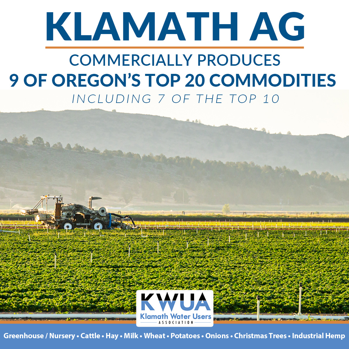 Did you know that Klamath Ag commercially produces 9 of Oregon’s top 20 commodities – including 7 of the top 10? kwua.org/klamath-ag-a-m… #klamathag #topcrops #ruraloregon #oregonagriculture