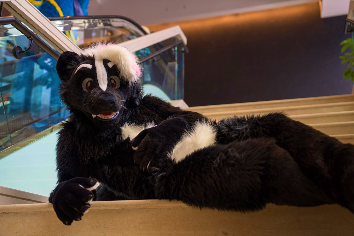 PianoSkunk's tweet photo. #FursuitFriday AND 6/21? 

Join me and I’m sure we can find a way to celebrate

Photo by @KooperShiba https://t.co/TnEydCL1A7