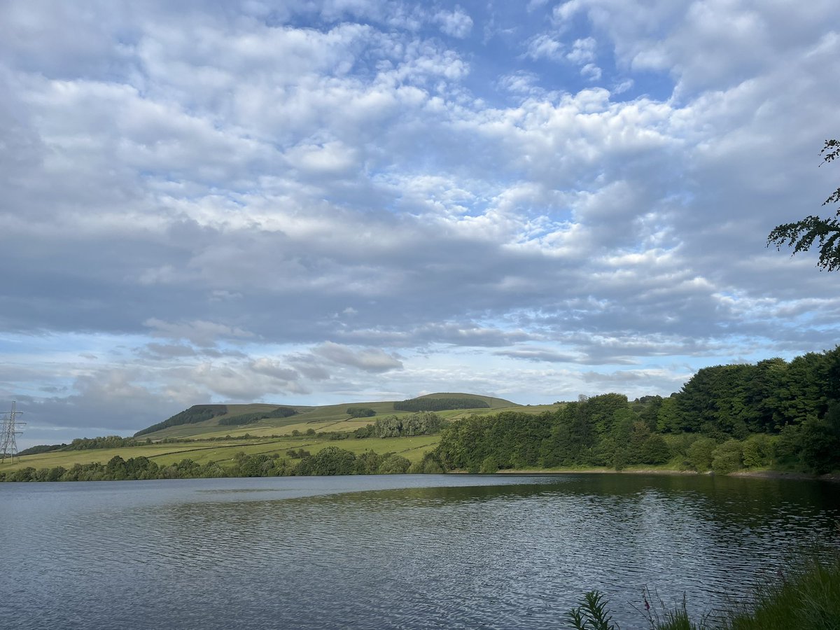 Sarah Leah tweet media