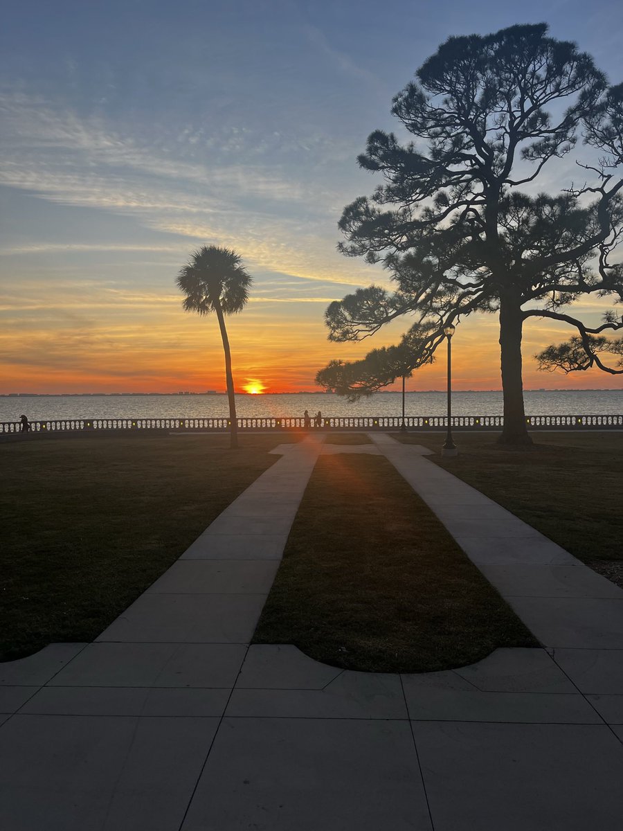 NCF Mighty Banyans tweet media