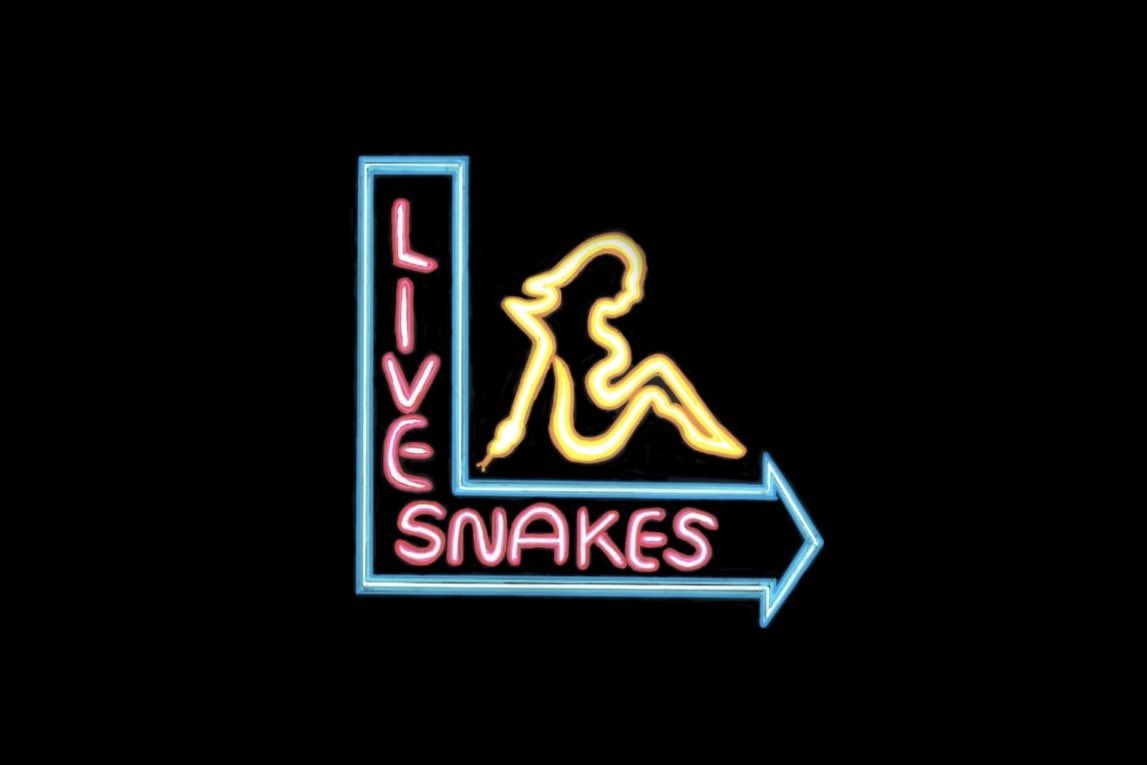TalkingSchmidt's tweet photo. I’m on Live Snakes next week at the Gutter in Williamsburg! The hilarious @MiaFaithHammond hosts @Feldfrog @MykaFox @RACH4_theSTARZ @Bobby_Condon and more! Just $10 cash at the door. Doors at 8. Show at 9! First two photos by @withreservation. Thursday, June 27th. Be there! https://t.co/HsVMhjMMVx