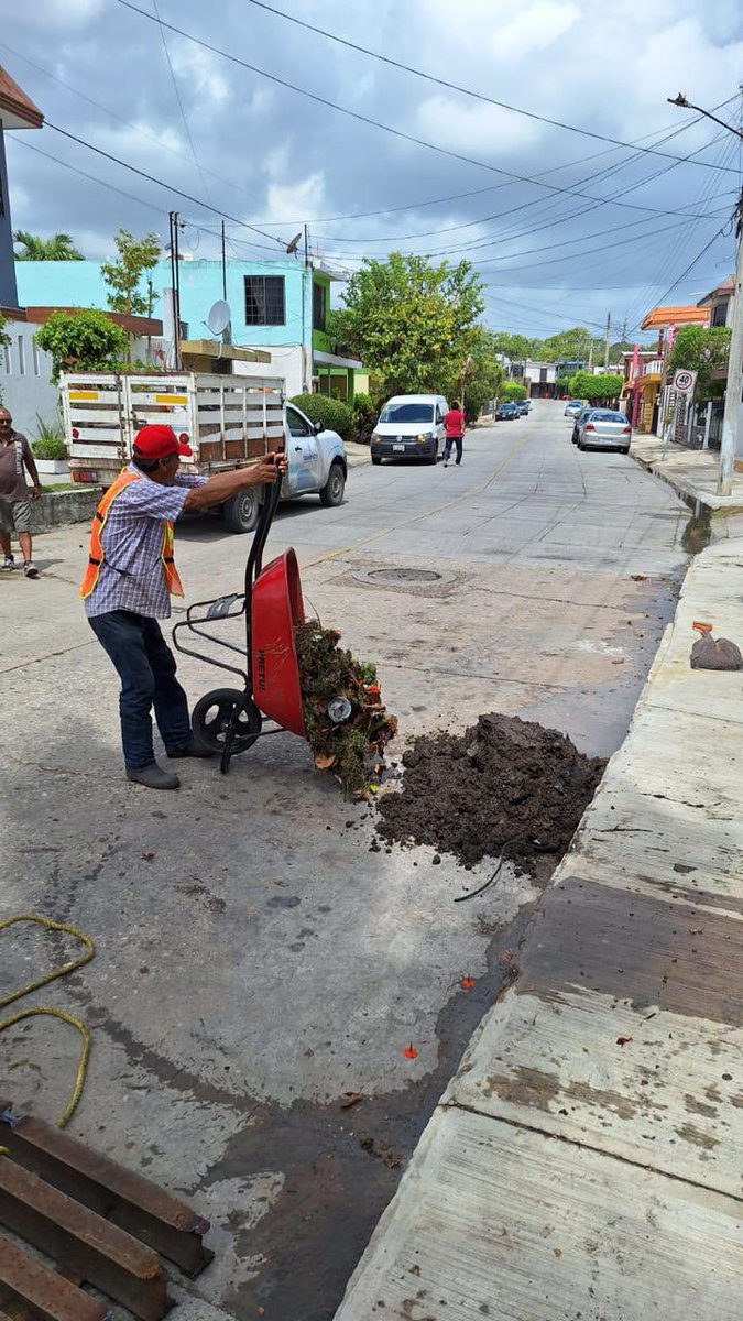 Secretaría de Servicios Públicos y Ecología tweet media