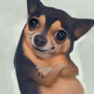 𝓒𝓱𝔂𝓼𝓸𝓶 ✨🤎 tweet media