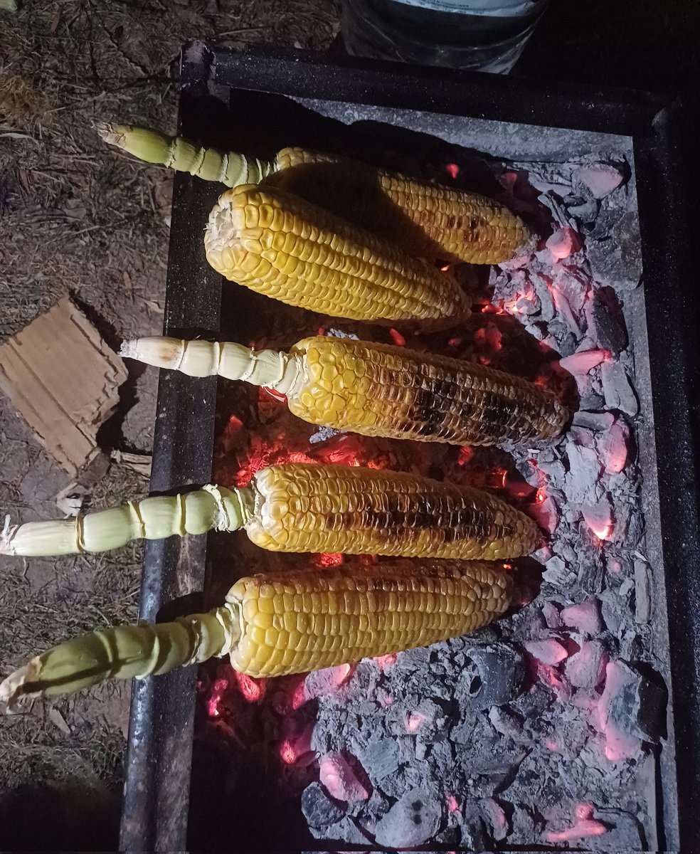 <a href="/eeesved/">memre</a> 🌽✌🏻