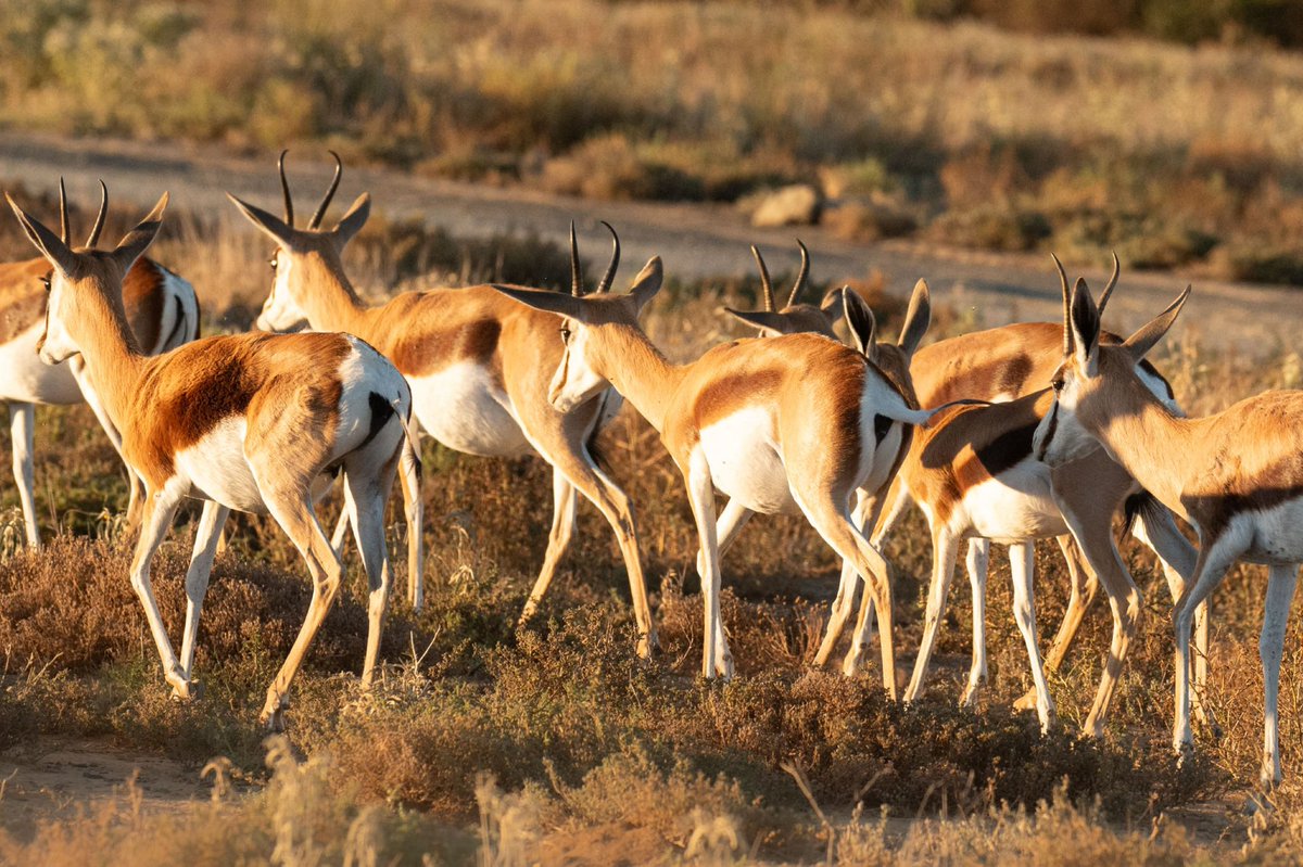 The #Springboks keep marching on ….

#SaRugby #Rugby365