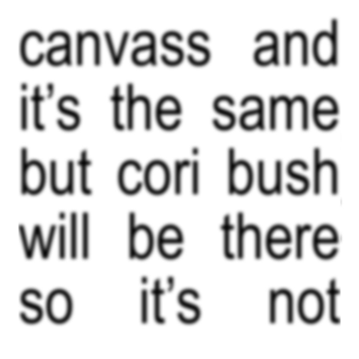 stlouisdsa's tweet photo. Announcing a very special guest at tomorrow’s canvass - Cori Bush! If you’ve been thinking about joining us, you won’t want to miss this week! We’ll be meeting in Fox Park at 1pm. Make sure to wear comfy shoes & bring a full charged smart phone. RSVP here: https://t.co/fPjlj0zHRi https://t.co/JIe8W0ryIm