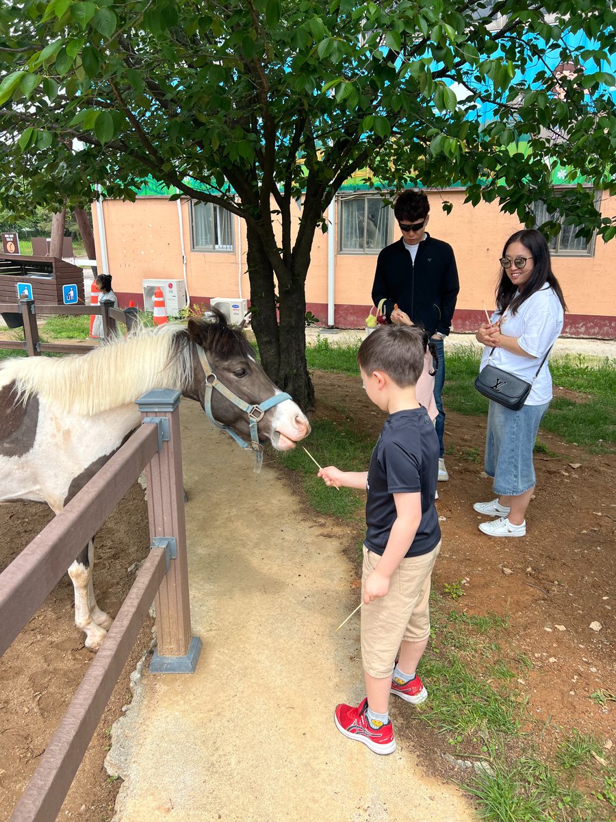 AuthorDRScanno's tweet photo. More farmland - 1. Feeding the ponies 2. Feeding the humans! Fish cake soup. 3. More snacks from the snack stand.
#SouthKorea #Kculture #Kfood #Klife https://t.co/Ab3djkOX6M