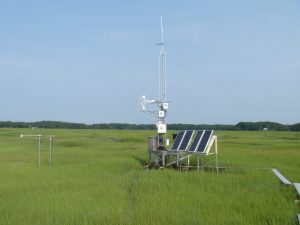 Inke Forbrich tweet media