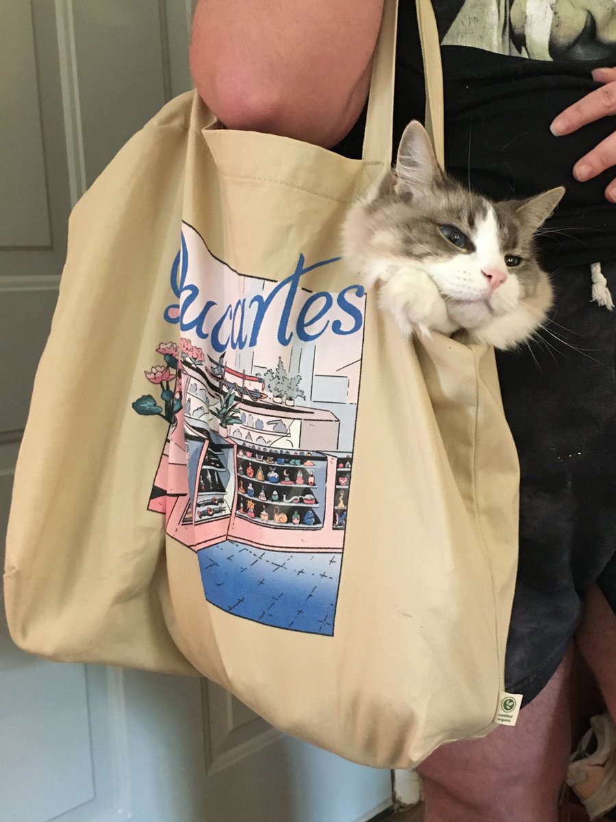 morothewolf's tweet photo. 👜 https://t.co/yAZxbv9Fnn