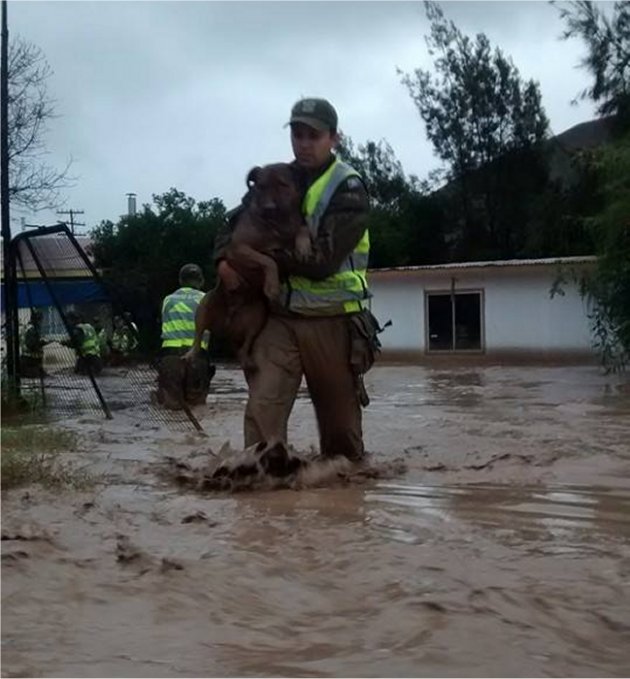 Cacho Escalona tweet media