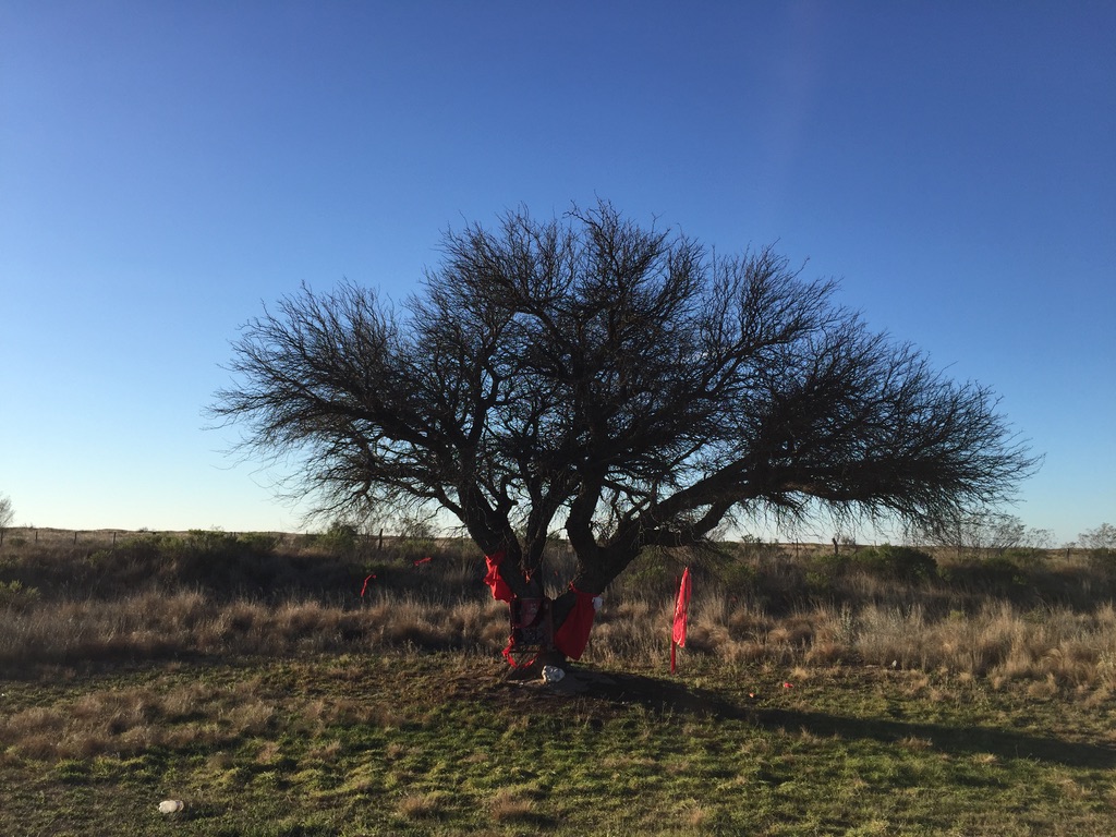 Thrilled to share that I was selected to be a Fulbright scholar in Argentina! This fall I'm looking forward to teaching a cultural ecology course at <a href="/PrensaUNLPam_ok/">UNLPam</a> and to collaborating with Dra. Claudia Tarquini and her Institute on forest archives of the western Pampa.