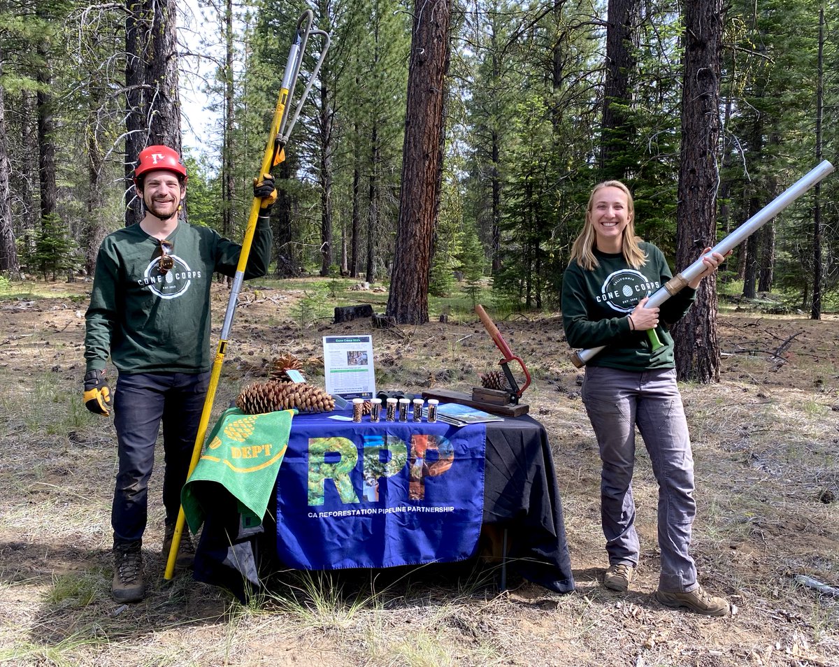 DyerDialogue's tweet photo. @AmericanForests California Cone Corps members Melissa &amp; Spencer were out in NorCal today helping foresters earn their continuing education credits at the "Weed Tour" hosted by the CA Forest Pest Council. Any guesses what they are demonstrating?! #needforseed #reforestation https://t.co/YxJvcwCCbO