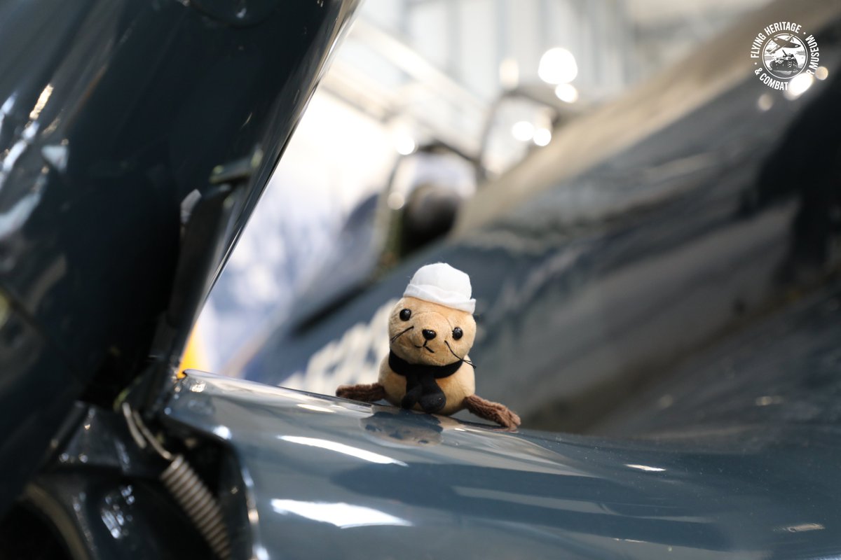 You never need a ticket to browse the FHCAM giftshop! Come on over to check out our new arrivals including a brand-new collection of hats, new games, puzzles, and favorites like our "Navy Seal" and P-51 Plushy!"
#FHCAM #ReadytoInspire #Giftshop #Gifts