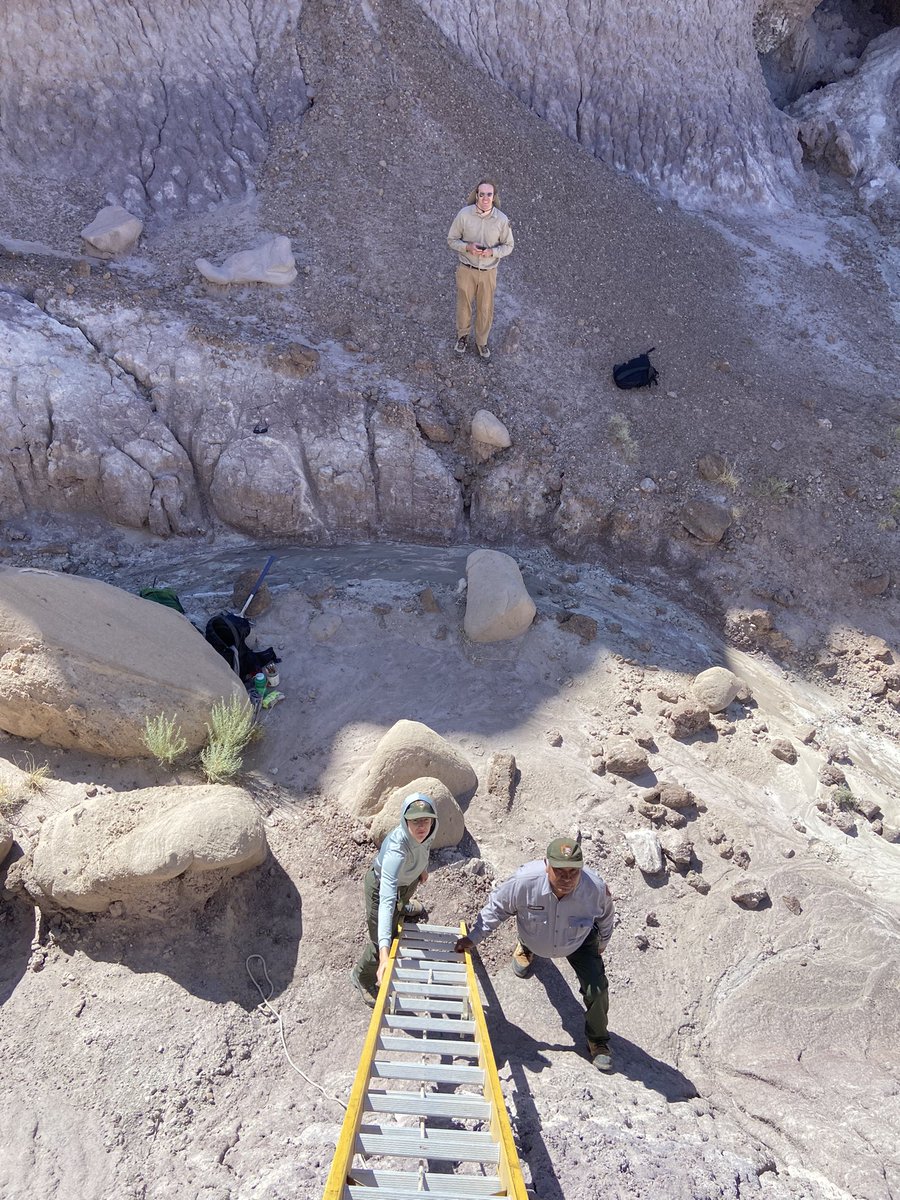 Adam Marsh tweet media