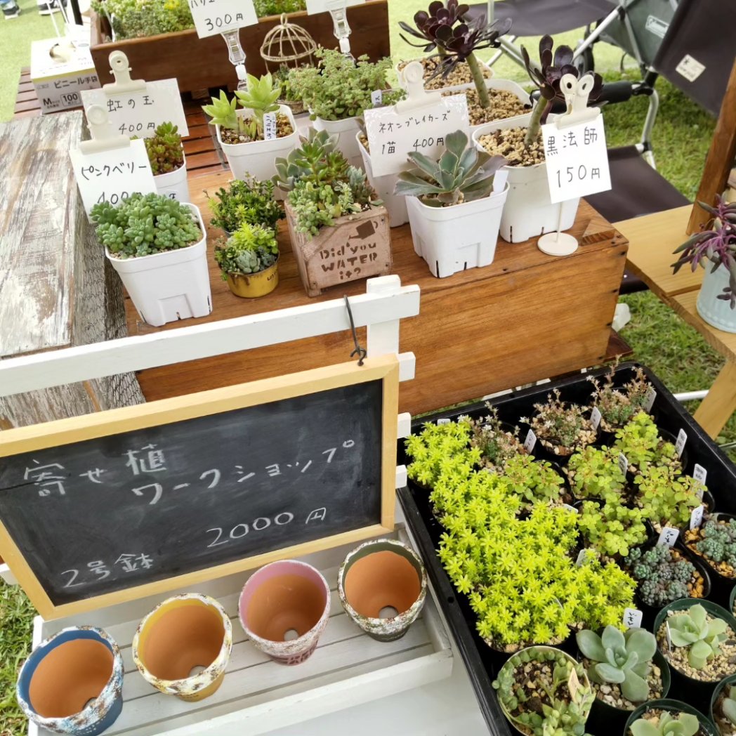 nakapapa2's tweet image. 138タワーパークで開催中の空と海のマルシェに出店中です。
ハンドメイドの木工鉢、リメイク鉢、多肉植物の寄せ植え、BOOW
#BOOW
#多肉植物
#ハンドメイド
#空と海のマルシェ
#138タワーパーク