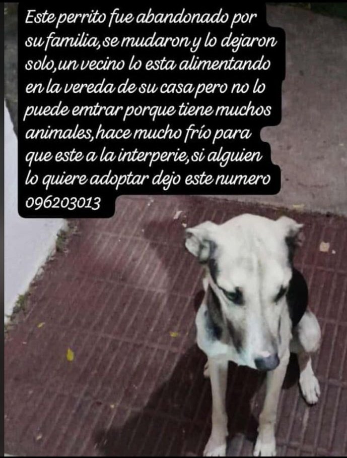 Por favor compartan no les cuesta nada 
RT , 🙏🏼🙏🏼🙏🏼🙏🏼