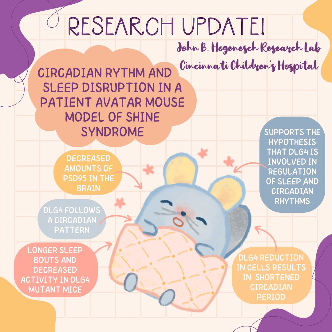 DLG4 SHINE tweet media