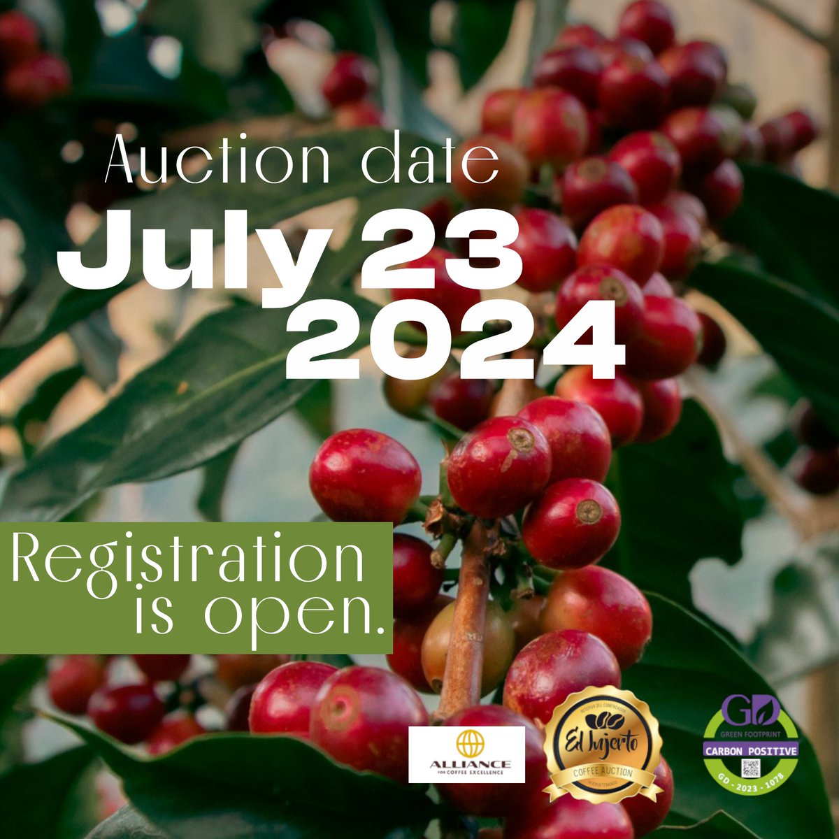 cupofexcellence's tweet photo. Exciting News Brewing!
Get ready for El Injerto's exclusive coffee auction on July 23, 2024.
Mark your calendars and prepare to bid on the finest Guatemalan coffee.
link ->
https://t.co/47Sp4Bee7U
#CoffeeAuction #ElInjerto #SpecialtyCoffee https://t.co/SRvJW26dy7