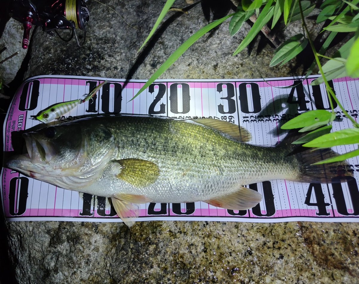 夜中にポップxでまたまた水面爆発٩( ᐛ )و