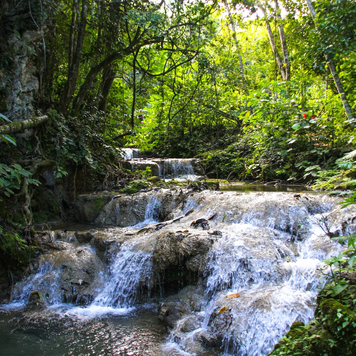 One of the most important things to consider when utilising your own private water supply is the water source. The Chemsol Group can assist with the supply and installation of all of the necessary pumping, storage and water treatment equipment, click the link in our bio for more.