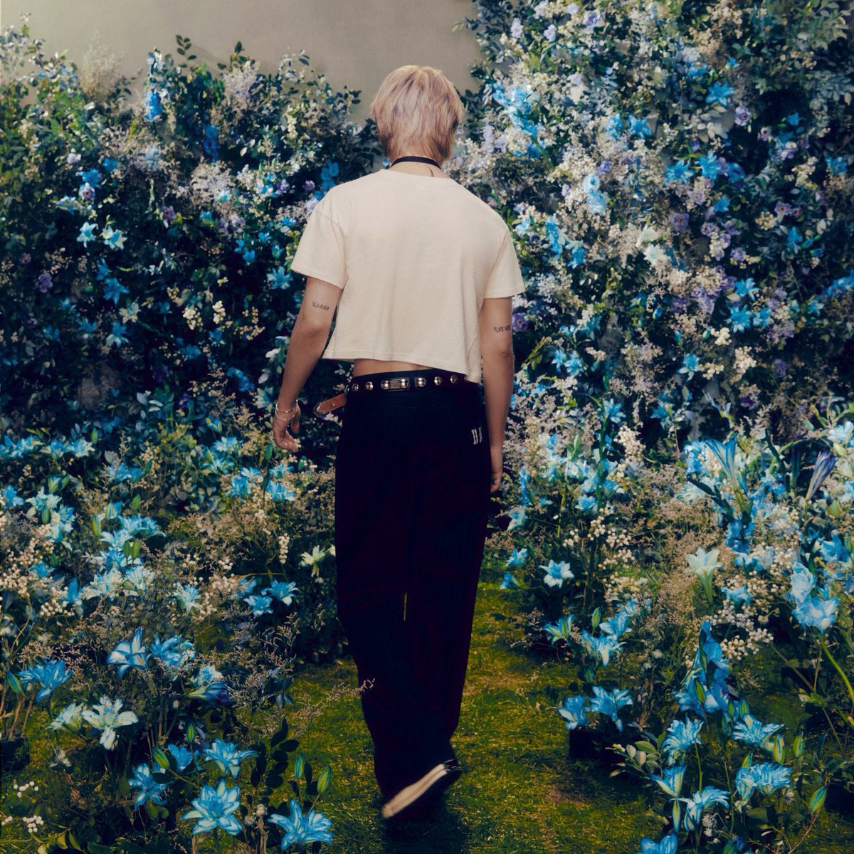 Lost In Jimin tweet media