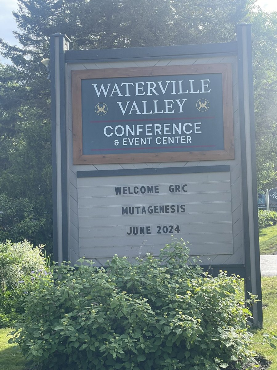 sheeradar's tweet image. Headed home after an absolutely fantastic #Grcmutagenesis meeting.