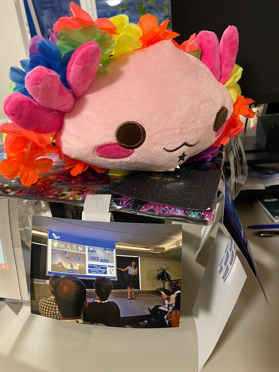 I’ve done it! I’m now a doctor of astrophysics! 🥳🎉🎈

We have a little tradition of a PhD viva hat- mine has an axolotl eating the SMC, with the LMC on the other end 😂