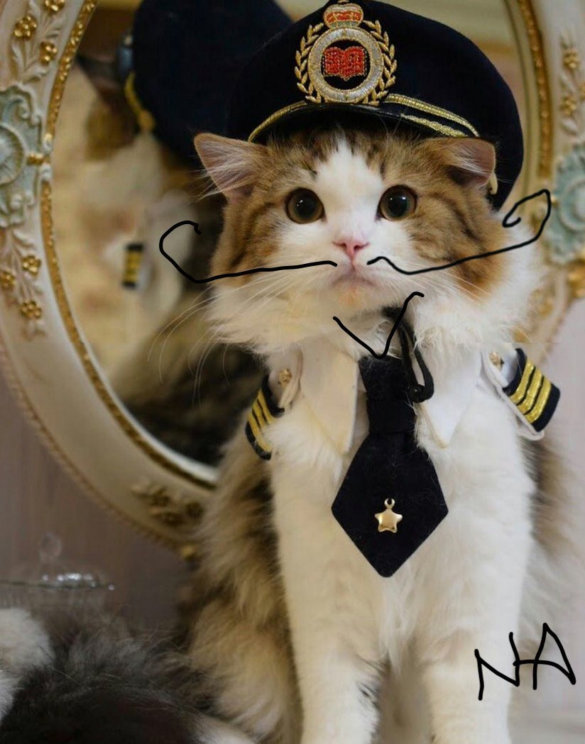 $NCAT airdrop is live now x.com/CatNeuraETH/st…