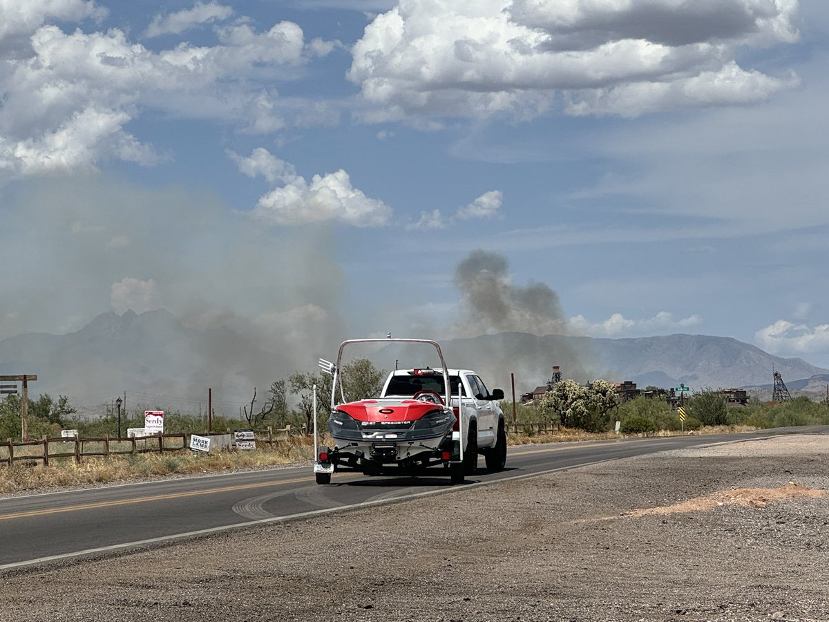 Arianna Grainey tweet media