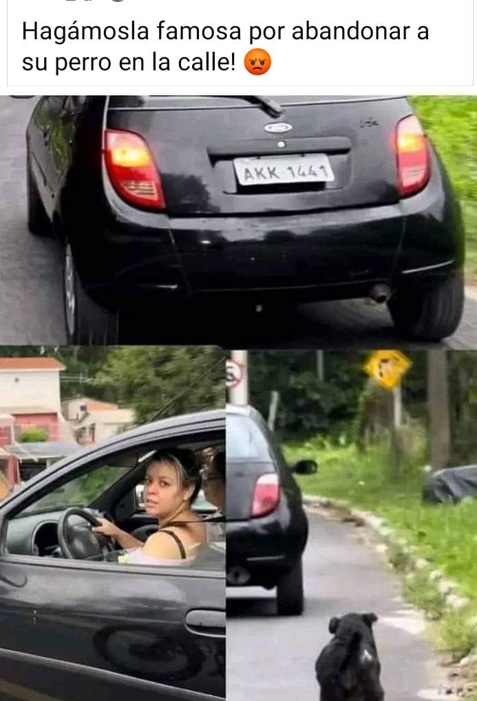 🚨📢👉POR QUÉ ABANDONASTE A TU PERRO SORETE!!!!!