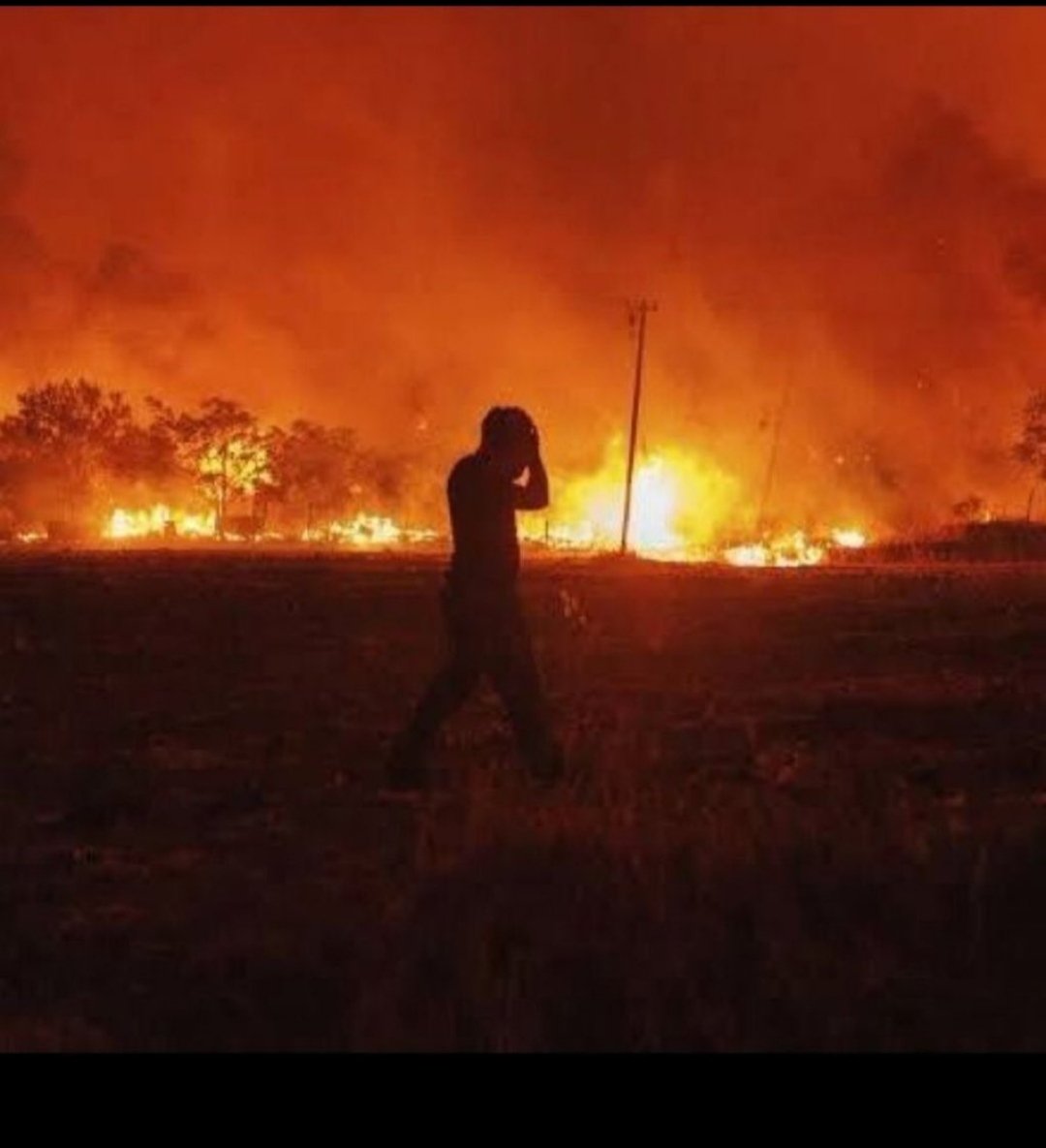 Her şeyi gübre niyetine ve toprağa karışır düşüncesiyle oraya buraya atmayın işte. Hasat sonrası yakmayın şu arazileri. Küçük,büyük demeden canlar gidiyor. Yazık çok yazık. 
#MardinYanıyor