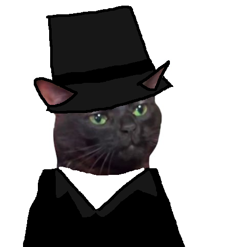 ZOZOCatSol's tweet photo. zoned out black cat for good luck https://t.co/MkoUv02yQU