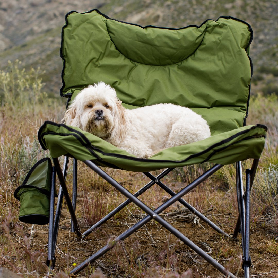 ShelterLogic's tweet image. Anyone else guilty of giving up your chair for your dog?? 🐾🙋‍♀️ 
bit.ly/3Y92a3a

#Shelterlogic #Campandgo #DogLife #PetLovers #ChairThief #XXLchair