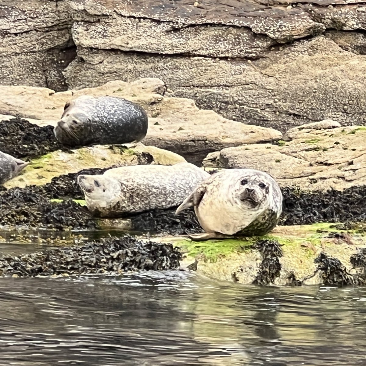 Eleanor J Thom (@eleanorjthom) on Twitter photo Arrived for <a href="/UllapoolBookFes/">Ullapool Book Fest</a> in time to jump into a boat. I’m speaking/reading from Connective Tissue at 10:30 tomorrow. Tickets here: ticketsource.co.uk/ullapool-book-… Arrived for <a href="/UllapoolBookFes/">Ullapool Book Fest</a> in time to jump into a boat. I’m speaking/reading from Connective Tissue at 10:30 tomorrow. Tickets here: ticketsource.co.uk/ullapool-book-…