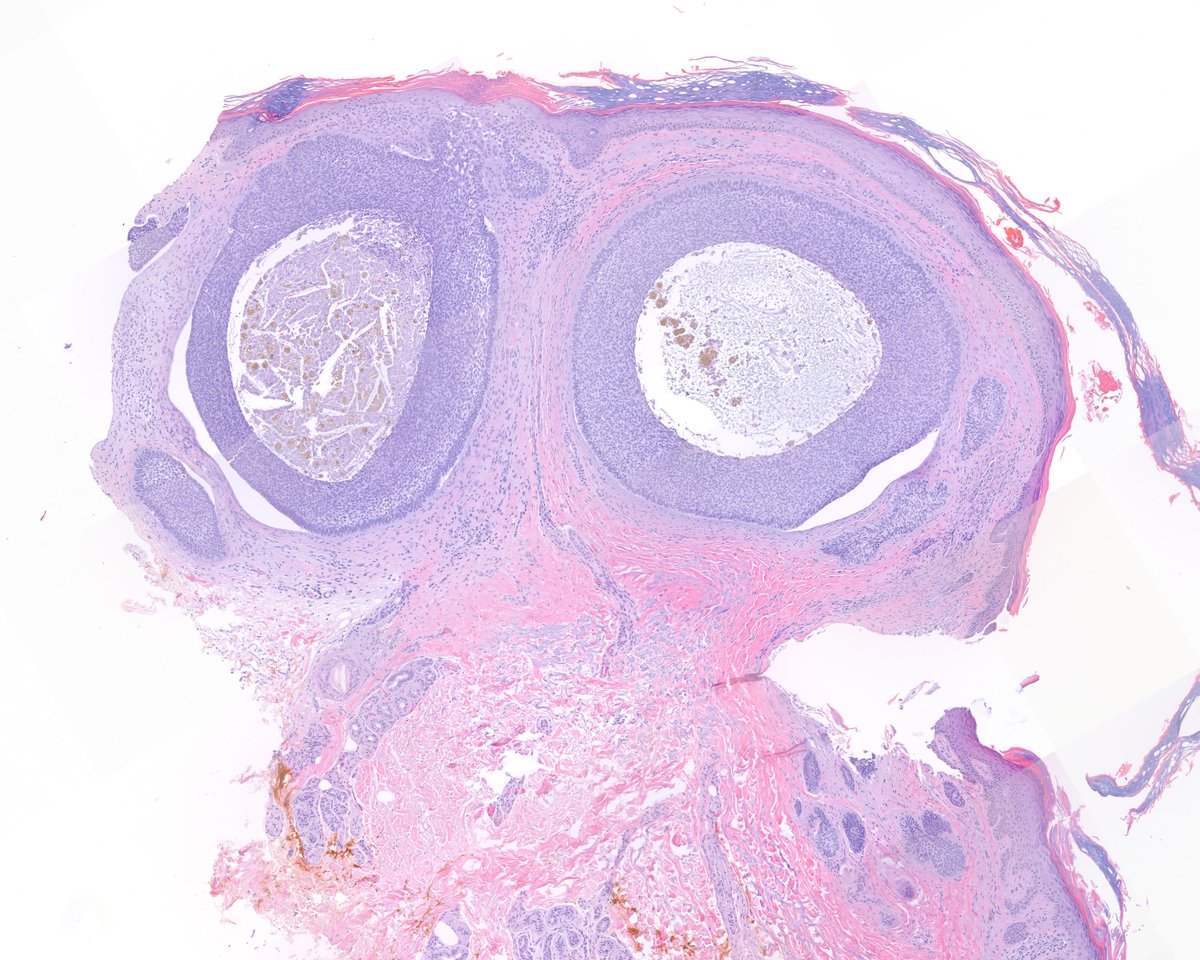 This BCC is looking forward to the weekend.