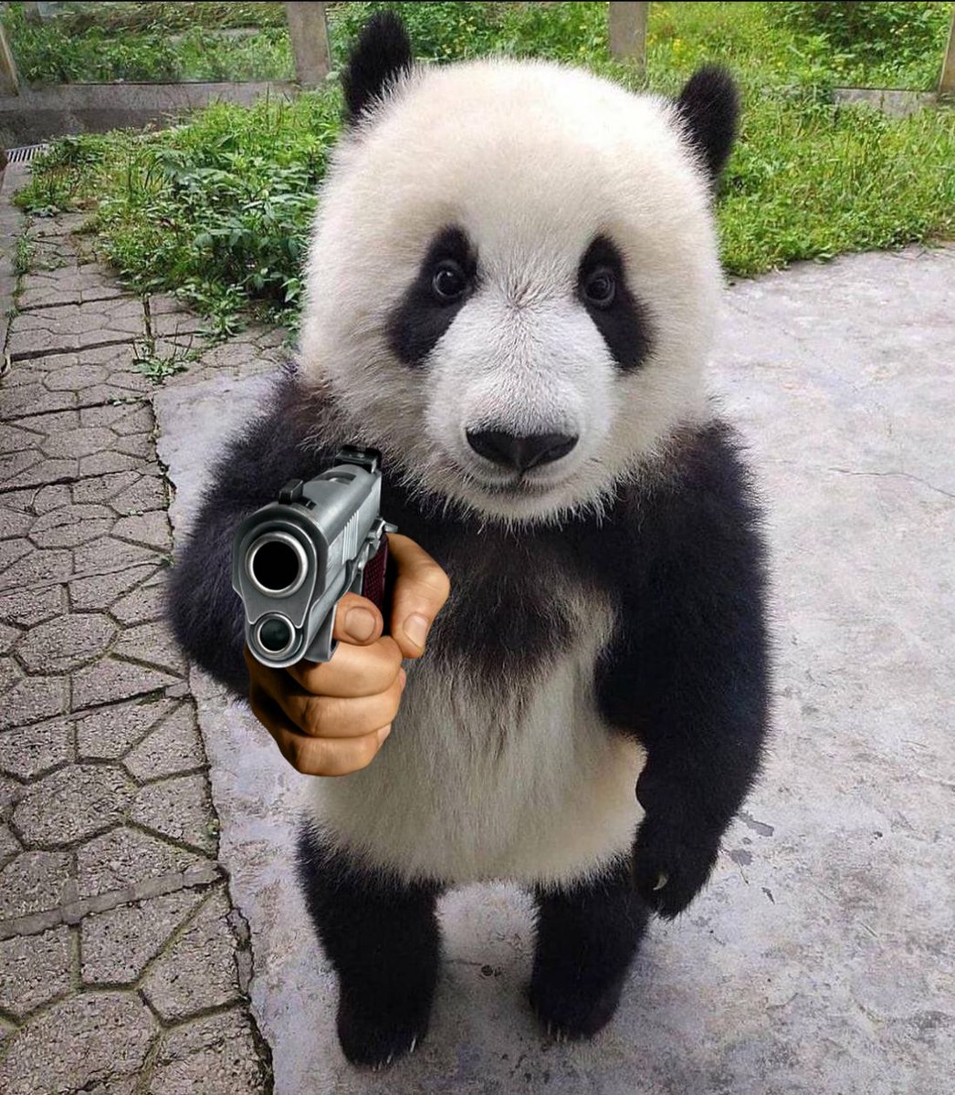 EatMoreBamboo's tweet photo. @SolJakey @basedd The ticker is $BAMBOO
Next infinity meme with God entry rn
Don't fade the #SolPanda
https://t.co/eQvUYFGuM3 https://t.co/GuQisOsppw
