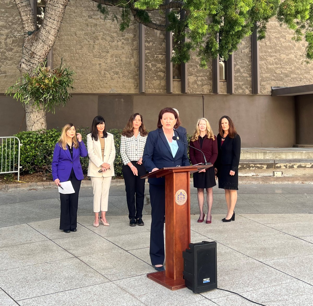 I have championed legislation &amp; funding to address the needs of domestic violence survivors, including securing $2M in state funding for Casa Mariposa. This safe haven includes case management, legal assistance, childcare, counseling, food, clothing, transportation, &amp; healthcare.