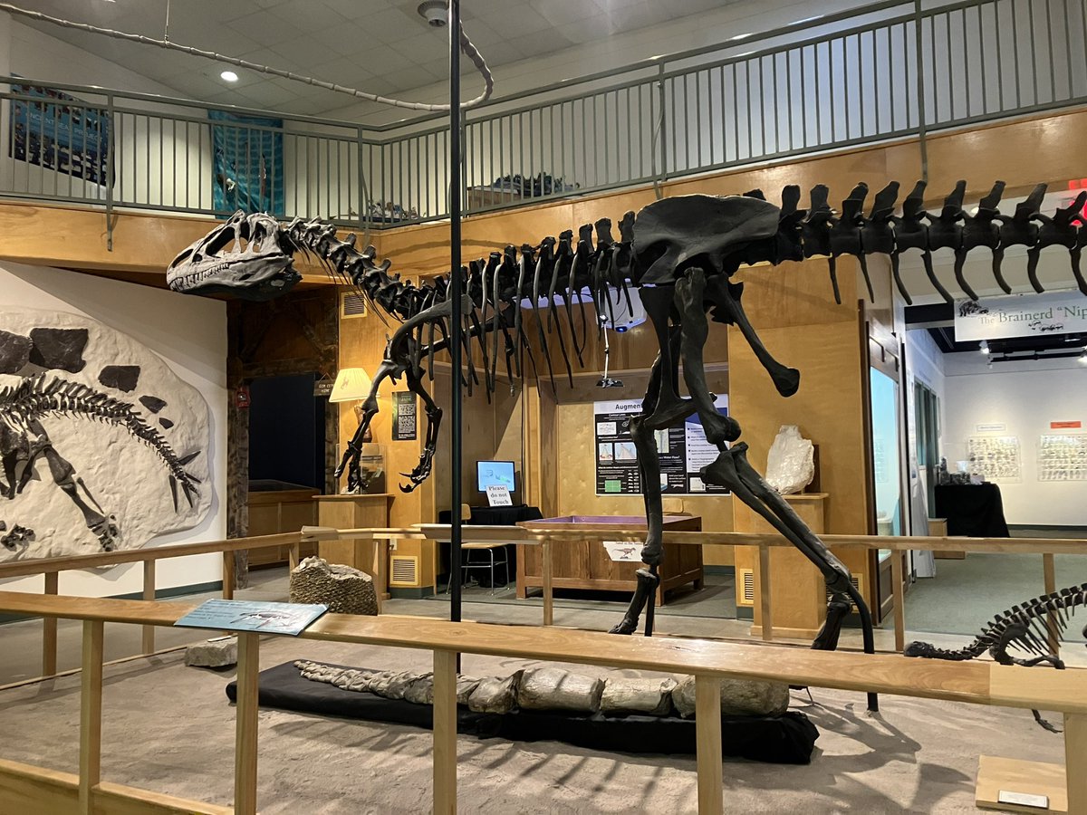 carcallingus75's tweet image. For those who care I’m moving to @carcallingus
(Image for engagement)