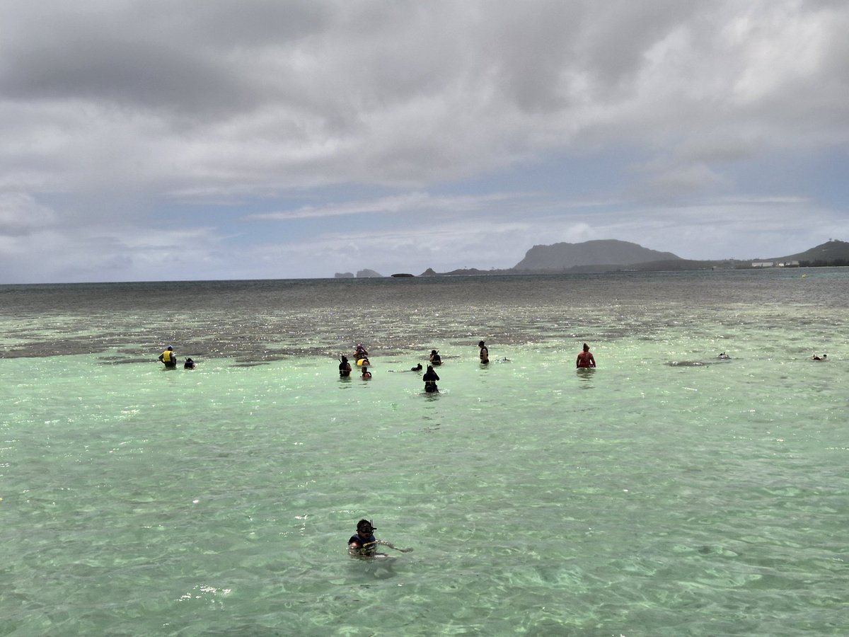 AlohaIndigoGirl's tweet photo. Aloha from the Kane'ohe Sandbar 🤙🏻
#Hawaii #oahu #kaneohe #kaneohesandbar #awesome #highlyrecommended #KBos https://t.co/Ybi7SMQY15