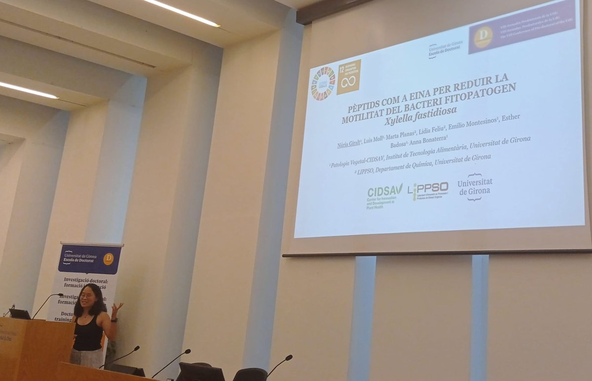 LIPPSO group (@lippsogroup) on Twitter photo Comunicació oral de Núria Giralt del grup CIDSAV a les <a href="/JoDoc_UdG/">Jornades Predoctorals UdG</a> per presentar pèptids com a eina per reduir la motilitat del bacteri fitopatogen Xylella fastidiosa. Comunicació oral de Núria Giralt del grup CIDSAV a les <a href="/JoDoc_UdG/">Jornades Predoctorals UdG</a> per presentar pèptids com a eina per reduir la motilitat del bacteri fitopatogen Xylella fastidiosa.
