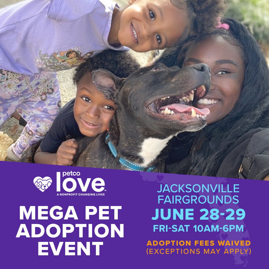 The second annual Petco Love MEGA Adoption Event is just one week away! 🎉 Join us Friday, June 28 through Sunday, June 30, 2024, for a MEGA-SIZED statewide adoption event featuring thousands of animals looking for new homes! 🔗 Learn more at megaadoptflorida.com