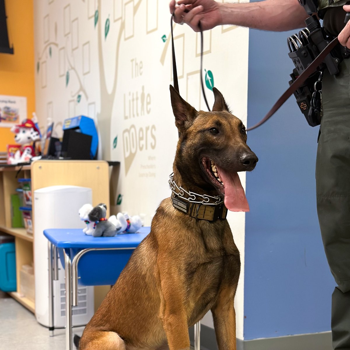 Last week, our campers got the chance to meet, Sarge the police dog. As part of the k-9 program for the Live Oak Police Department, Sarge is a one-and-a-half year-old Belgian Shepard who uses his special abilities to help the community 🐶 ❤️ 

 #k9 #policedogs #camps #thedoseum