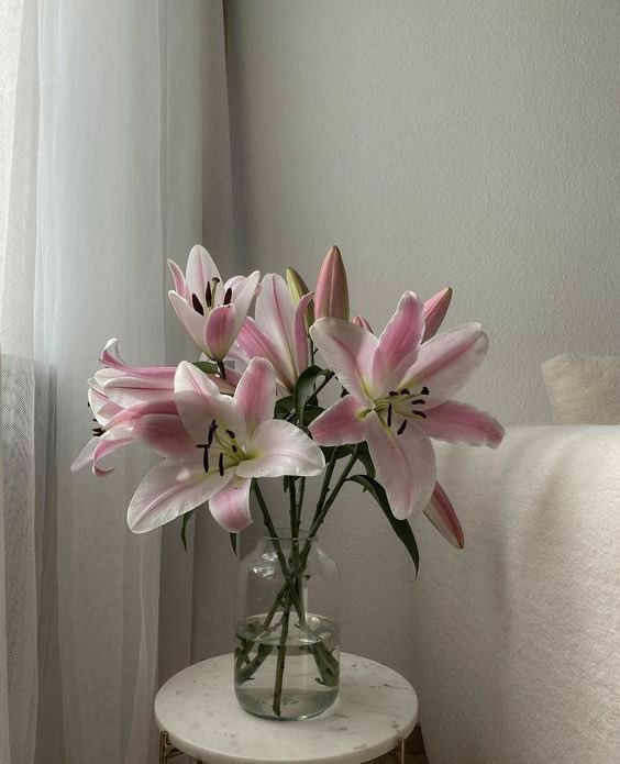 i3Moment's tweet image. Lilies